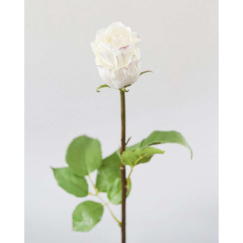 Bourgeon de rose blanche de 23 po