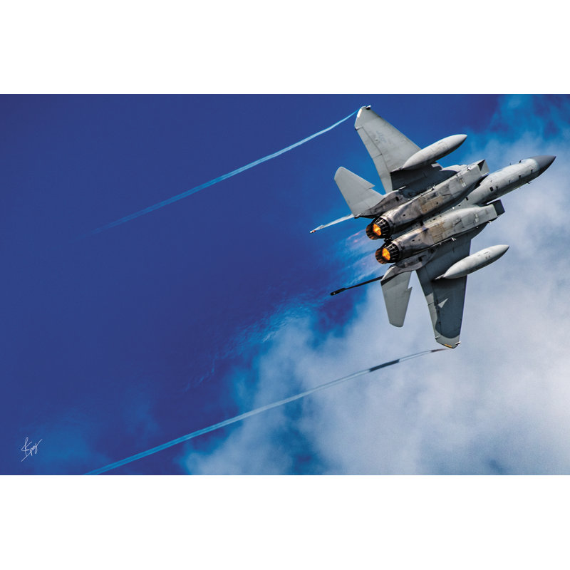 " Wingman ", 8" H x 12" W x 1.25" D