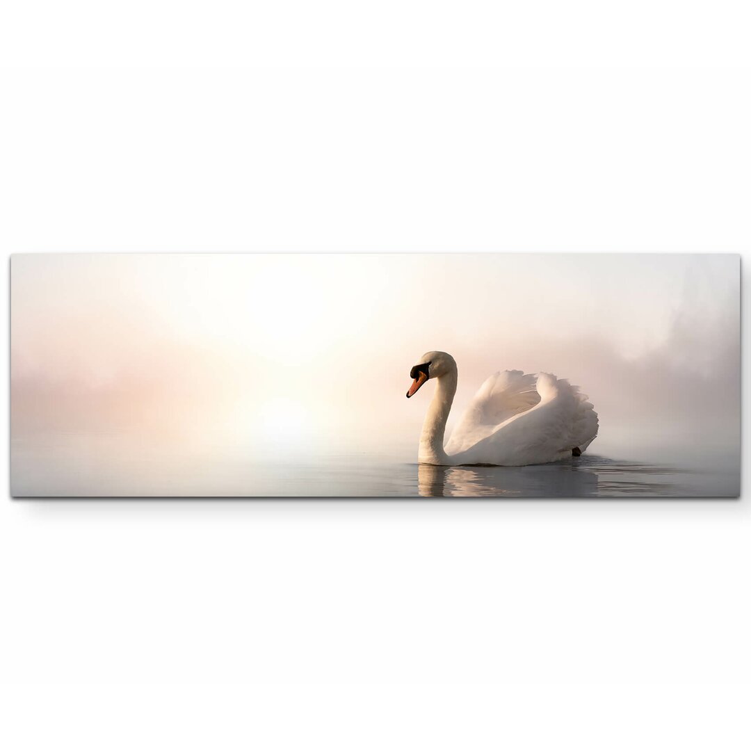 Leinwandbild Schwan im Sonnenaufgang