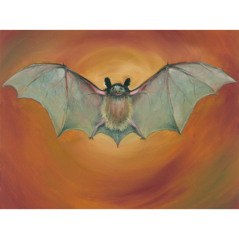 Halloween Bat - reproduction sur toile tendue, L 16 po x H 12 po