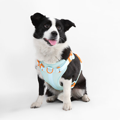 Harnais pour animal de compagnie Arlo