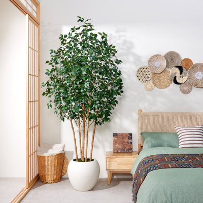 Arbre à ficus artificiel multi-tiges Barnette Grand 6 pi-8 pi avec troncs en bois véritable authentique