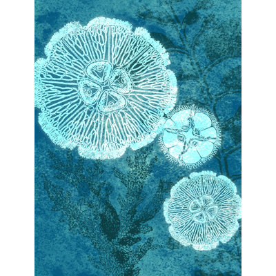 " Jelly Fish "