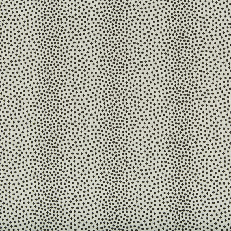 Crypton Home Fabric, Black