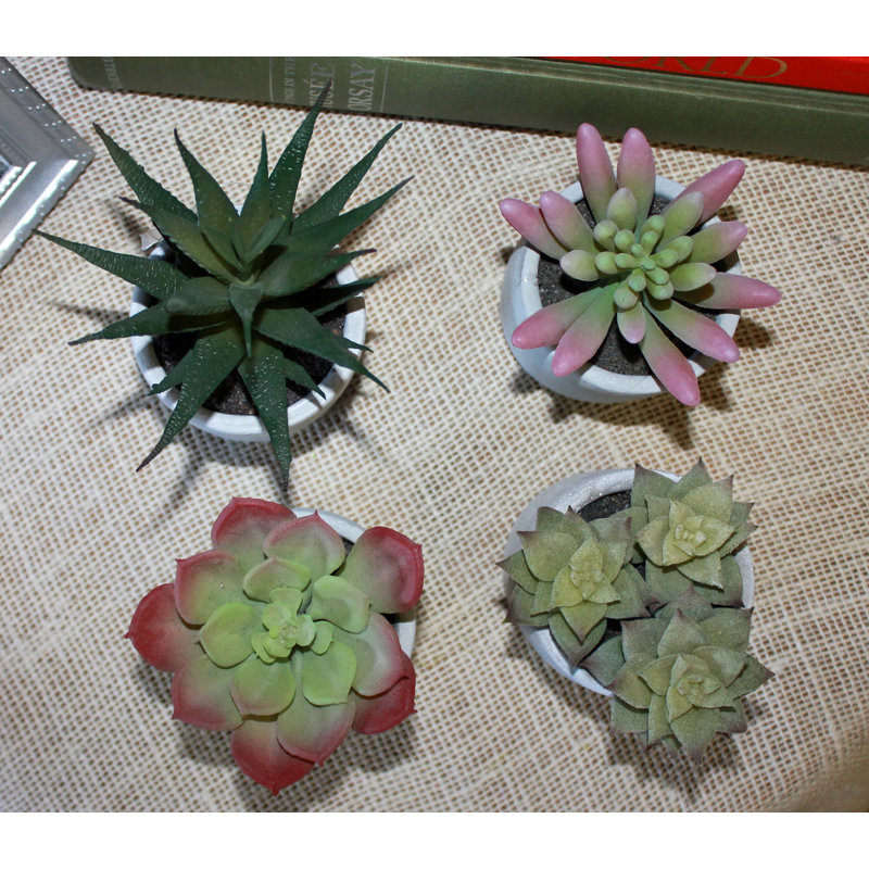 6'' Assorted Faux Succulent Plants in Ceramic Pots, Set of 4