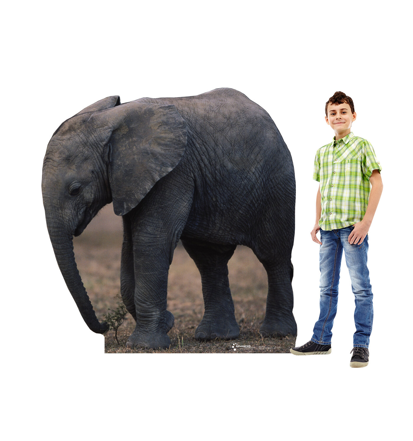 Advanced Graphics Elephant Life-Size Cardboard Stand-Up