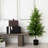 Artificial Norfolk Pine Tree-1606007049