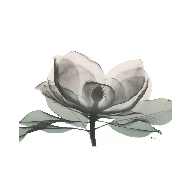 «Sage Magnolia I» par Albert Koetsier - reproduction, H 26 po x l 40 po x 1,5 po