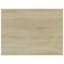 Cuno 1.5cm H x 40cm W Bookcase-159513988-217709251