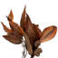  Couronne de 24 po Magnolia Brown. Elle mesure 24 par 12 pouces.