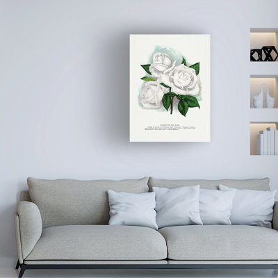 Reproduction d'art sur toile de la coquette des Alpes