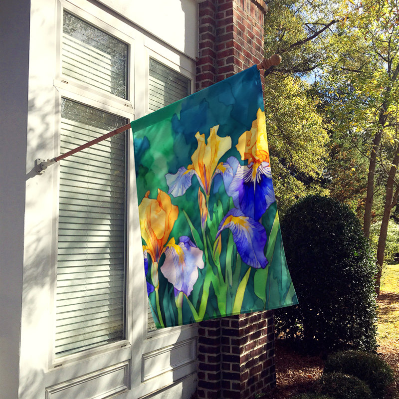 Double Sided 40'' H x 28'' W Polyester House Flag