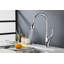 Robinet de cuisine avec plaque de recouvrement Wovier-93533852