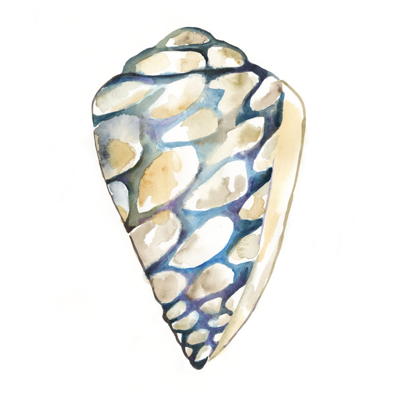 «Aquarelle Shells III», peinture sur toile, H 12 po x l 12 po, Toile tendue