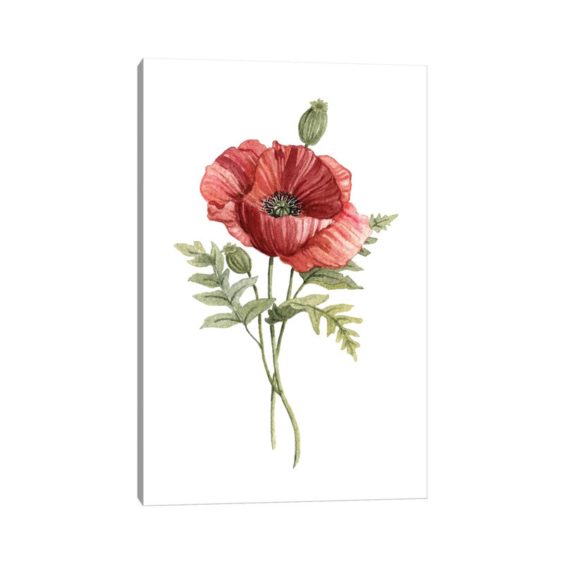 Scarlet Poppy by Carol Robinson - Painting on Canvas, Wrapped Canvas, 101.6 cm H x 66.04 cm W x 1.91 cm D