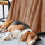 Veyo Throw Blanket-838665389-838665391