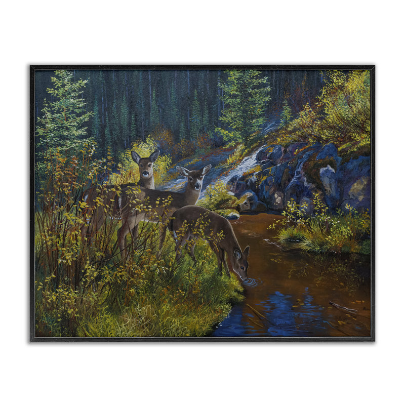Cerf buvant à la rivière, estampe numérique par Andrew Kiss, Giclée encadrée noir minuit, H 24 po x l 30 po