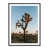 Black Maple Picture Framed selected