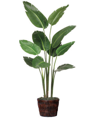 60'' Faux Elephant Ear Tree in Basket