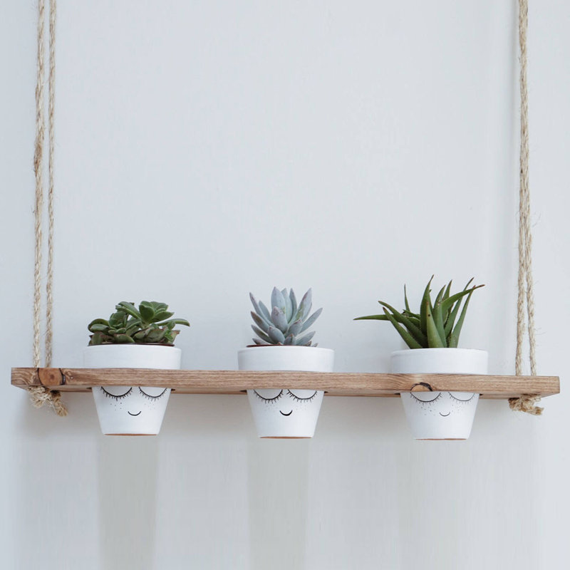 Solid Wood Floating Shelf with Adjustable Shelves