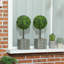 50cm Tree