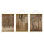 «Rustic Countryside Whispers of the Forest Enchanted Woodland», affiche murale encadrée en bois