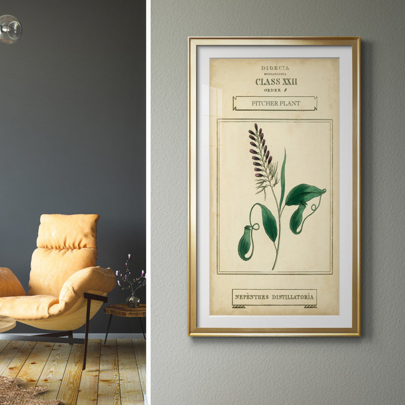 Linnaean Botany II - peinture encadrée, H 14,5 po x l 26,5 po x P 1,5 po, Doré