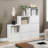Argonaut 3-Door Accent Cabinets-413661449