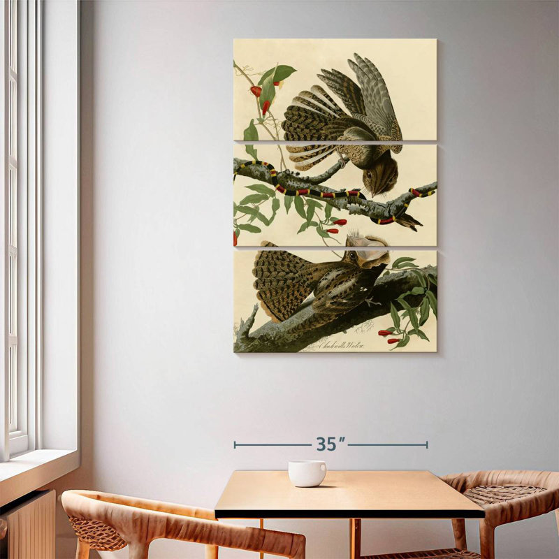 Brampt Chuck-Will's Widow, 65" H x 42" W