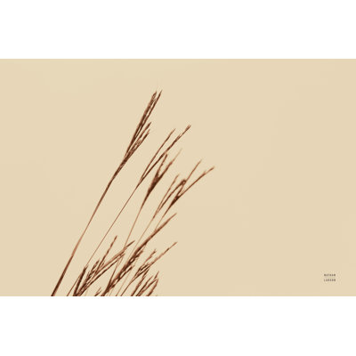 Lakeside Grasses IV 1 Piece Wrapped Canvas Wall Art