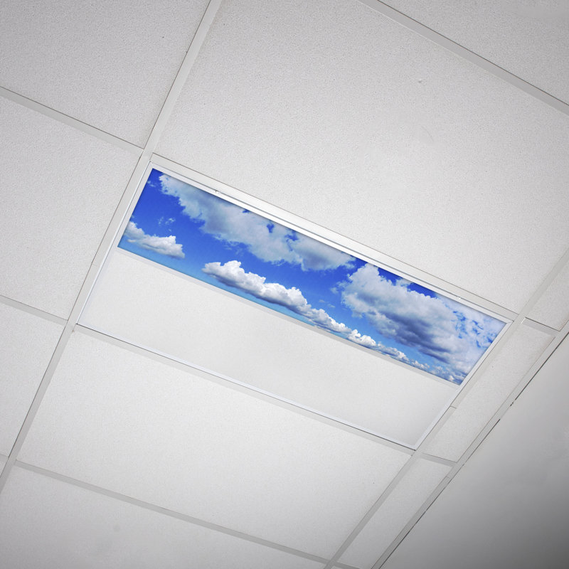 Cloud Rectangle Fixture Component Ceiling Light