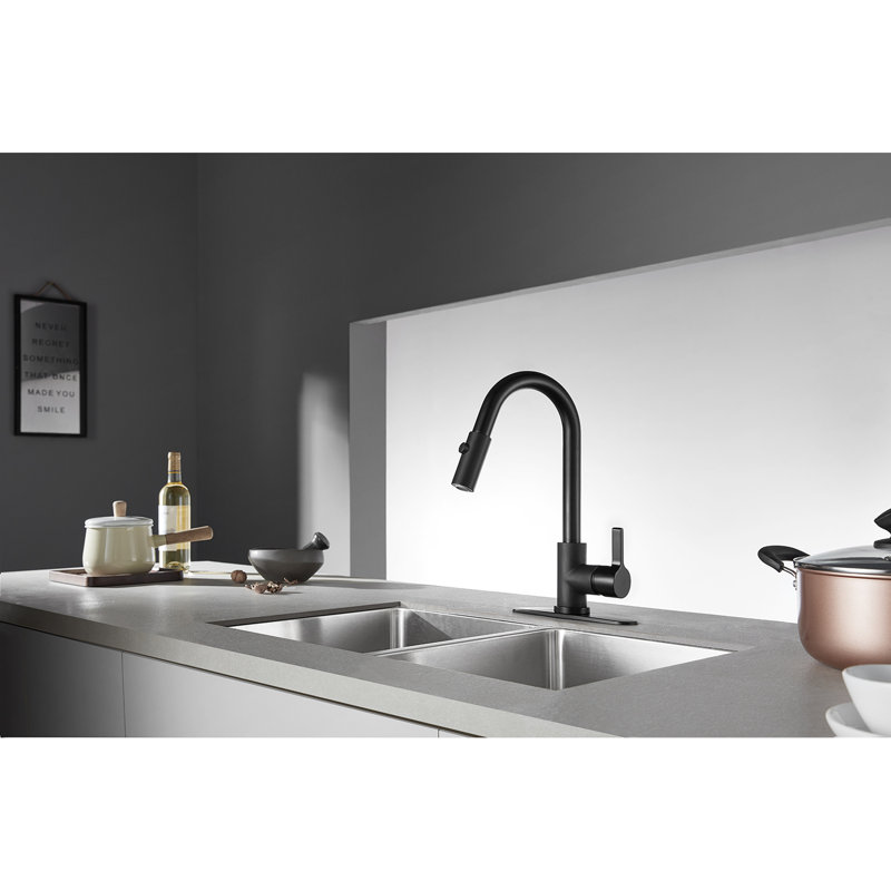 Kingston Brass Continental Single-Handle Pull-Down Kitchen Faucet, Matte Black