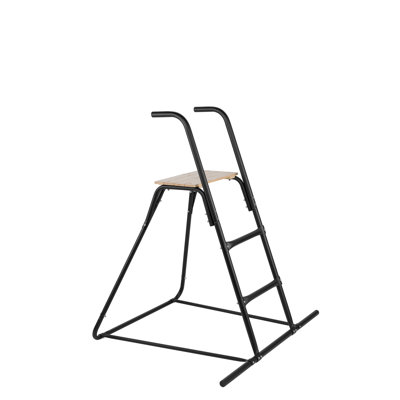 SwingKing Indoor Slide