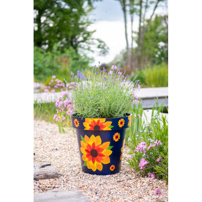 Abderrahman Handmade Pot Planter, 13.78cm H x 38cm W x 14.96cm D