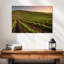 Alvord Carneros Winery-108821924