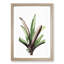 Boat Lily Flowers by Pierre-Joseph Redoute - Picture Frame Graphic Art Print-55544300-55544301