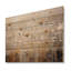 Scerene Wildflowers In Bloom - Wildflowers, panneau mural en bois sur bois de pin naturel-101408172