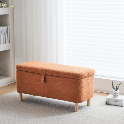 Dayvian 39.3" Storage Ottoman Bench for End of Bed