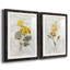 Canari lin géranium - ensemble de 2 reproductions d'art-755692021-755692026-755691908