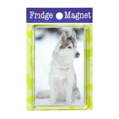 Fridge Magnet