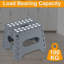 Plastic Step Stool