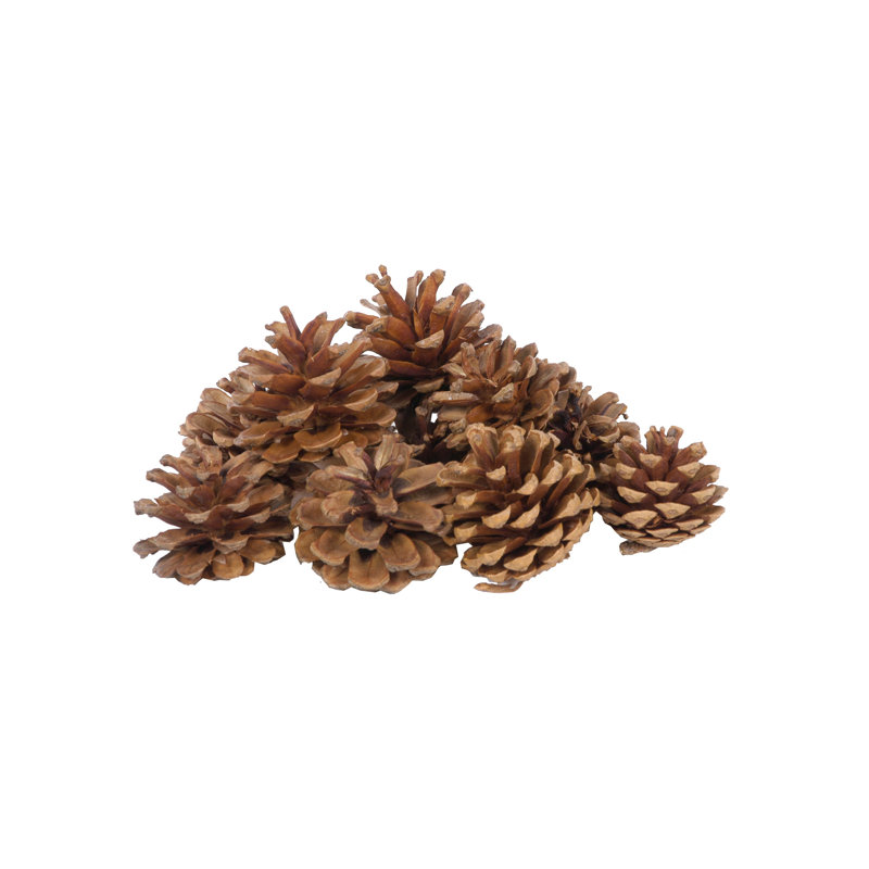 Pin autrichien