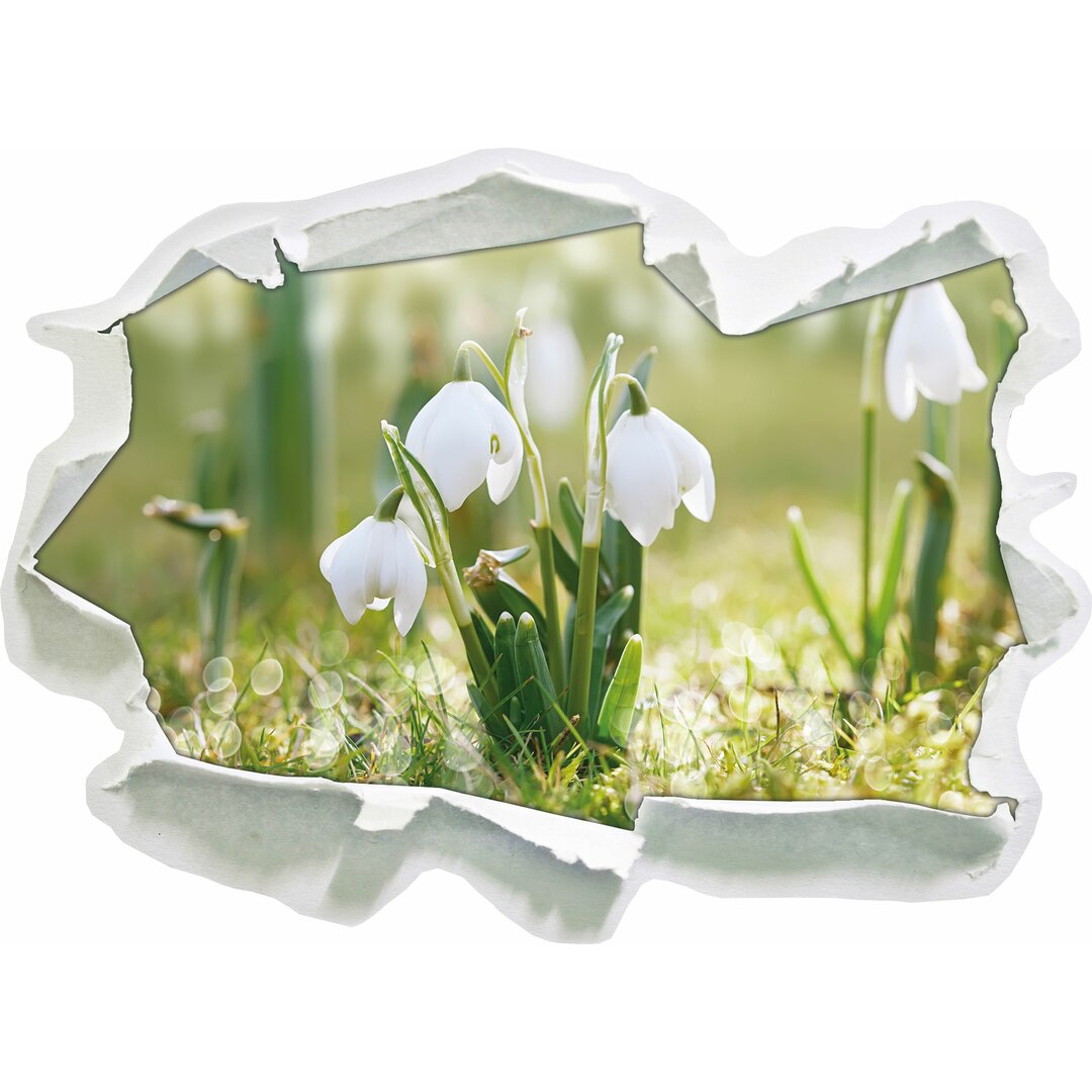 Wandaufkleber Snowdrops