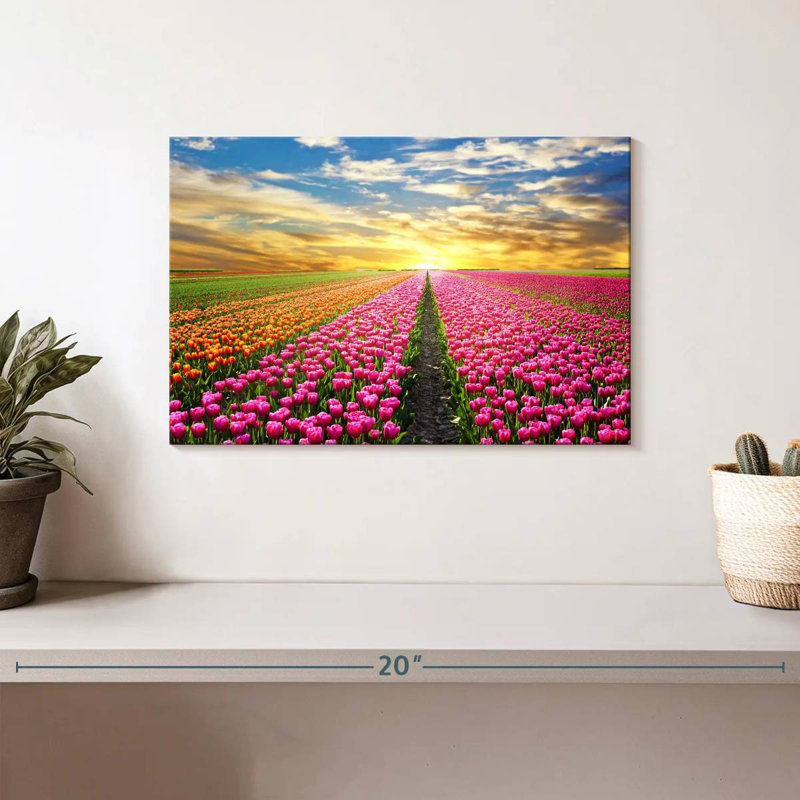 Tulipes des Pays-Bas Alvord, H 8 po x l 12 po