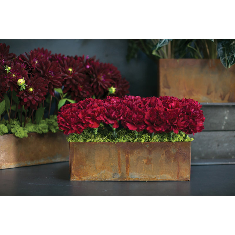 Montello Metal Pot Planter, 4" H x 12" W x 4" D