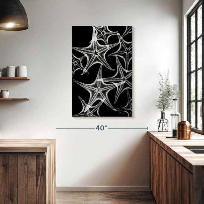 Brampt White Starfish, 39" H x 26" W