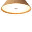 Flush Mount-1619339335