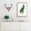 Blue Cheeked Amazon Parrot by F. Levaillant - Picture Frame Painting Print-55544259-55544262