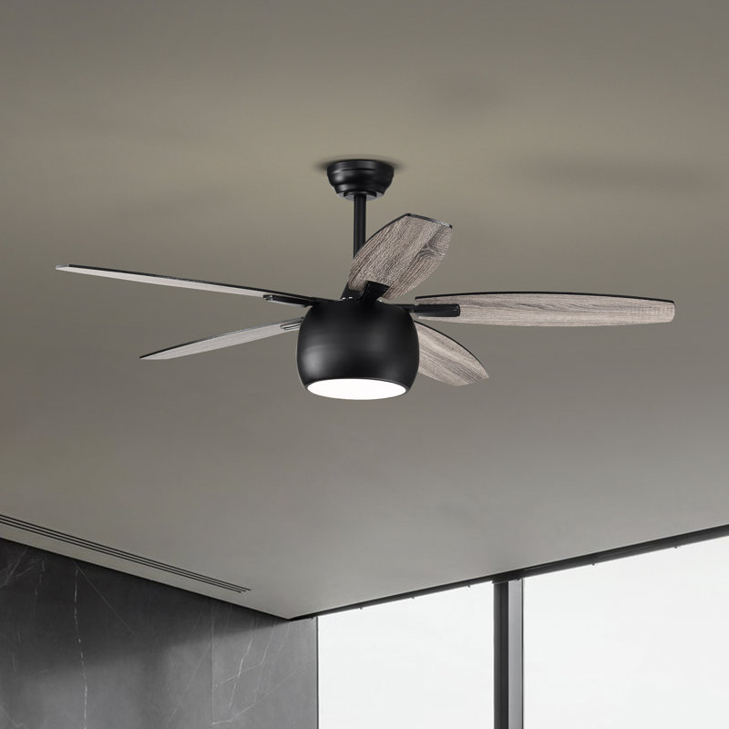 Ahuviel 52'' Ceiling Fan with LED Lights