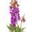 Larkspur Arrangement-971358705